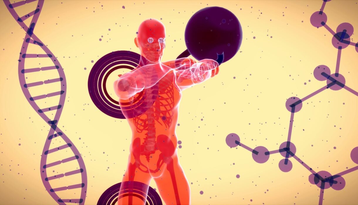 “Transparent anatomical figure lifting a kettlebell with DNA and hormone molecule background – symbolic of testosterone and medical science”