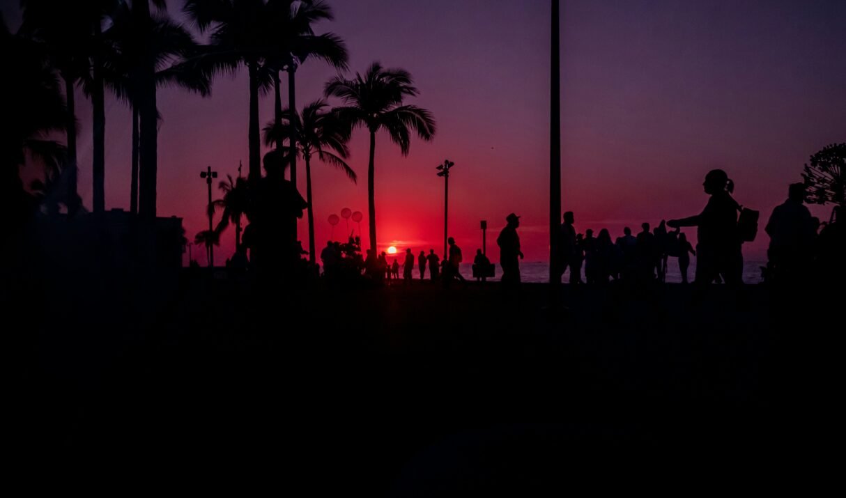 Evolutionary Diversity in Families: Chronotypes and Hidden Roles in Survival