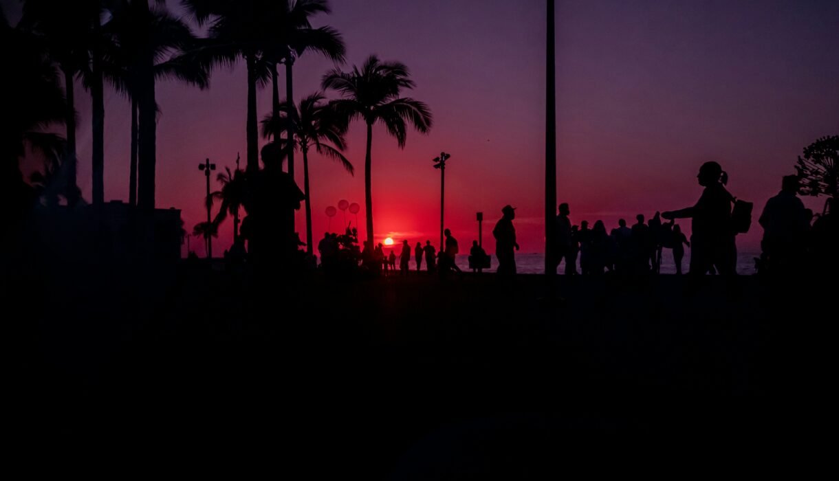 Silhouettes of people active at different times of day symbolizing evolutionary diversity in families through chronotype variation